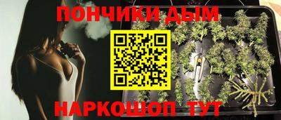 прущие крисы Шелехов