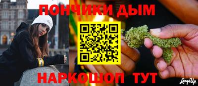 прущие крисы Шелехов