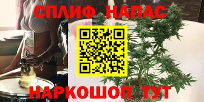 прущие крисы Шелехов