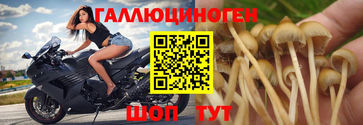 Псилоцибиновые грибы MAGIC MUSHROOMS Архангельск